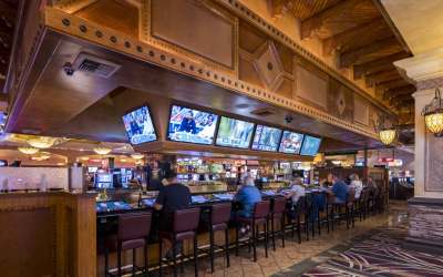 Iguana Bar