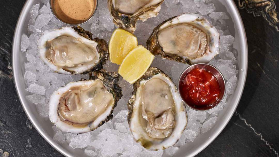 023 at Oyster Bar