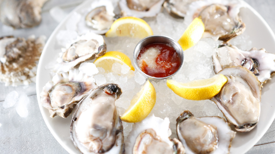 A Plate of Oysters on the Half Shell