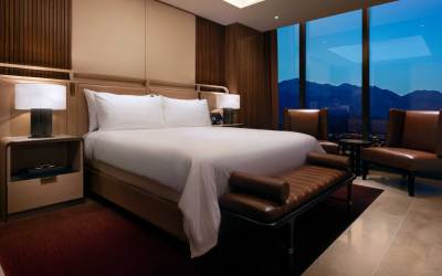 Terrace King Suite